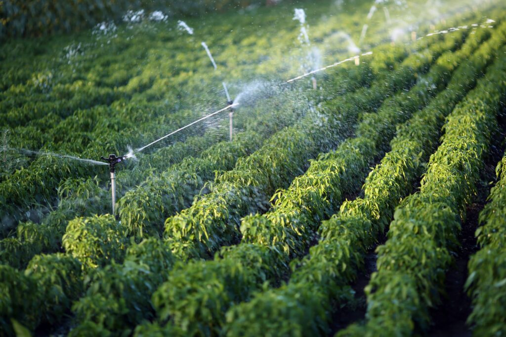 AgraME 2025: Driving Food Security in the Middle East