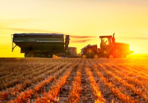 Iraqi Desert Agriculture Transformed by Groundwater Innovation